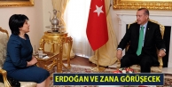 Erdoğan ve Zana görüşecek