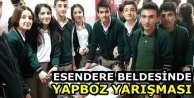 Esendere Beldesinde Yapboz Yarışması