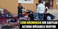 Ezidi Göçmenler Zor Şartlar Altında Mücadele...