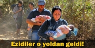 Ezidiler o yoldan geldi!