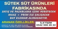 Fabrikada Çalışacak Bay Eleman Aranıyor