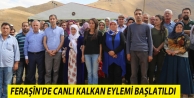 Feraşîn'de canlı kalkan eylemi başlatıldı