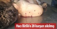 Hacı Birlik'e 28 kurşun sıkılmış