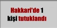 Hakkari'de 1 kişi tutuklandı