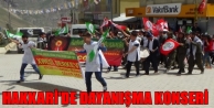 Hakkari'de Dayanışma Konseri