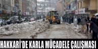 Hakkari’de Karla Mücadele Çalışması