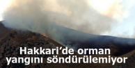 Hakkari’de orman yangını söndürülemiyor