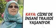 Hüda Kaya: Cizre'de insani trajedi yaşanıyor