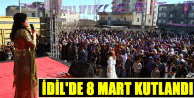 İdil'de 8 Mart binlerce kadınla kutlandı