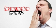 İnsan neden esner?