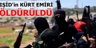 IŞİD'in 'Kürt emiri' öldürüldü