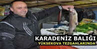 Karadeniz balığı Yüksekova tezgahlarında