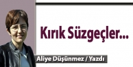 Kırık Süzgeçler 