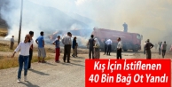 Kış İçin İstiflenen 40 Bin Bağ Ot Yandı