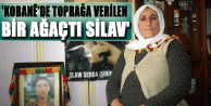 'Kobanê'de toprağa verilen bir ağaçtı Silav'