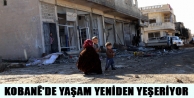 Kobanê'de yaşam yeniden yeşeriyor