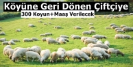 Köyüne Geri Dönen Çiftçiye, 300 Koyun+Maaş Verilecek...