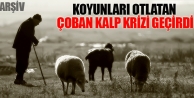  Koyunları otlatan Çoban kalp krizi geçirdi