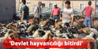 Kürt besiciler hayvanları satacak pazar bulamıyor