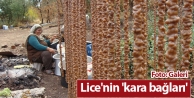 Lice'nin 'kara bağları'