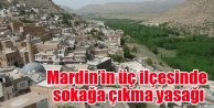 Mardin’in üç ilçesinde sokağa çıkma yasağı