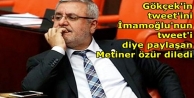 Mehmet Metiner özür diledi