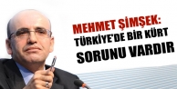 Mehmet Şimşek: Türkiye'de bir Kürt sorunu vardır