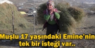 Muşlu 17 yaşındaki Emine’nin tek bir isteği...