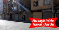 Nusaybin'de hayat durdu