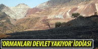 'Ormanları devlet yakıyor' iddiası