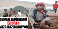 Şengal dağındaki Êzidîler yaza hazırlanıyor 