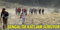 Şengal’de katliam sürüyor