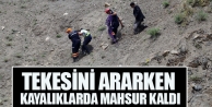 Tekesini ararken kayalıklarda mahsur kaldı