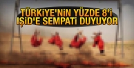 Türkiye'de IŞİD'e sempati duyanların oranı yüzde...