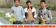 Uçkun Satarak Okul Harçlıklarını Çıkarıyorlar