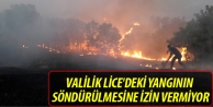 Valilik Lice'deki yangının söndürülmesine izin...