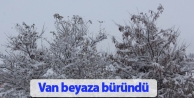 Van beyaza büründü