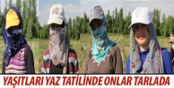 Yaşıtları yaz tatilinde onlar tarlada