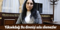 Yüksekdağ: Bu direnişi asla silemezler