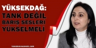 Yüksekdağ: Rojava sınırında tank değil barış...