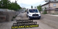 Yüksekova Belediyesinden ilaçlama çalışması