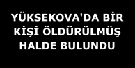 Yüksekova'da bir kişi öldürülmüş halde bulundu