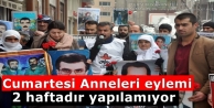 Yüksekova'da Cumartesi Anneleri eylemi 2 haftadır yapılamıyor