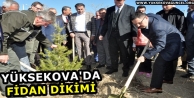 Yüksekova'da fidan dikimi