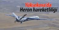 Yüksekova'da Heron hareketliliği