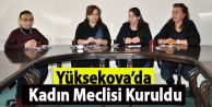 Yüksekova’da Kadın Meclisi Kuruldu