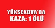 Yüksekova'da kaza: 1 ölü