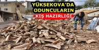 Yüksekova’da Oduncuların Kış Hazırlığı