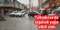 Yüksekova'da sağanak yağış etkili oldu