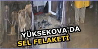 Yüksekova'da Sel Felaketi